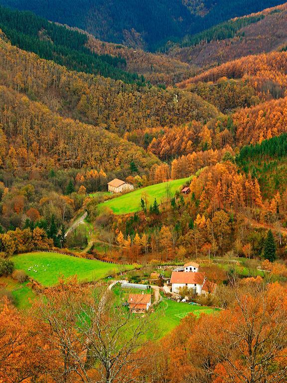 Hostal Jai Alai Leitza  Esterno foto